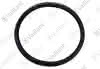 VA Dichtung, Lippendichtring DN 80 EPDM Vaillant-Nr. 981227