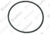 VA O-Ring, Brennerflansch Vaillant-Nr. 0020021173