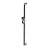 FSB Brausestange m.Brauskopfh.A100 Stange Anthrazitgrau metallic