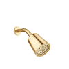 DO Kopfbrause SERIENSPEZIFISCH 28504979 Messing gebürstet (23kt Gold)