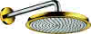 HG Tellerkopfbrause Raindance Classic 240mm Air chrom/gold mit Brausearm 383mm