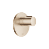 DO xTOOL UP-Therm. SERIENSPEZIFISCH 36503979 Champagne gebürstet 22kt Gold