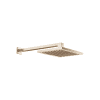 DO RB SERIENSPEZIFISCH 28765980 300 x 240 mm Light Gold gebürstet