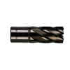 HSS Kernlochbohrer, kurz 20 x 30 mm 