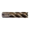 HSS Kernlochbohrer, lang 19 x 50 mm 