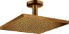 HG Kopfbrause Raindance E 300 1jet EcoSmart Deckenmontage BBR