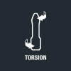Bit 3867/1 TS DIN3126-D6,3/ISO1173 Torx TX40 L.25mm VA Torsion 6-kt-Aufn.1/4Zoll