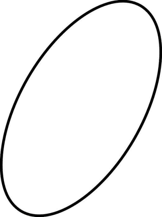 10089523800 #1