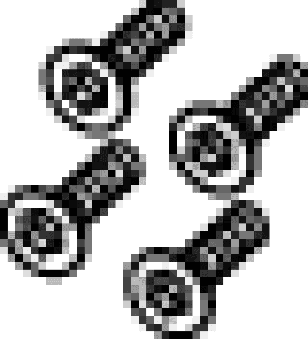 99900113095 #1