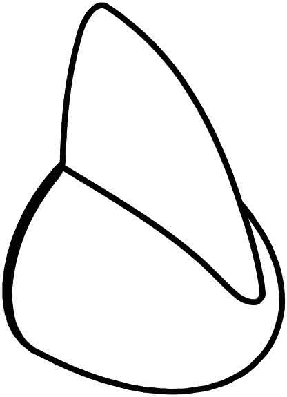 99900198387 #1