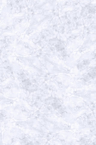 99901116098 #1