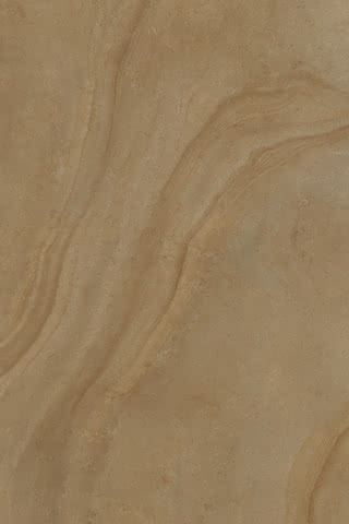 99901116417 #1