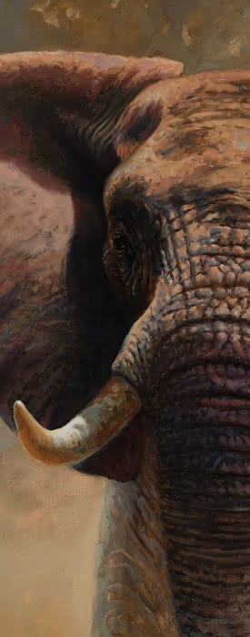 99901168028 #1