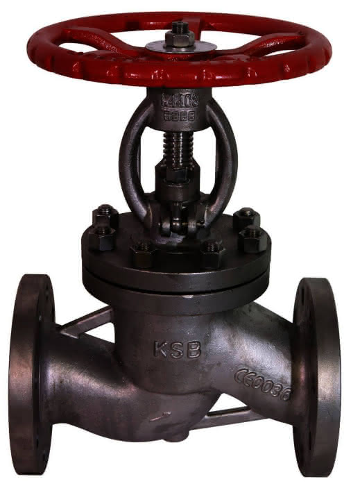 99901454993 #1