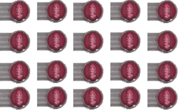 99902004987 #1