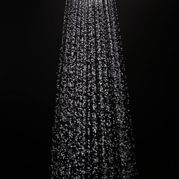 99901184919 #14