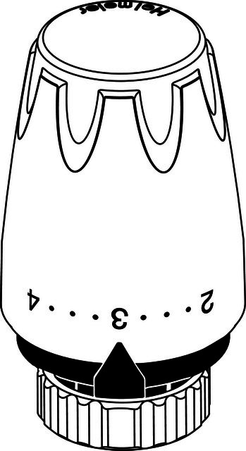 55006005800 #2