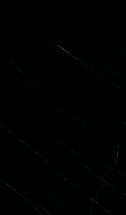 99901168007 #2