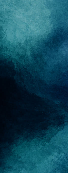 99901168013 #2