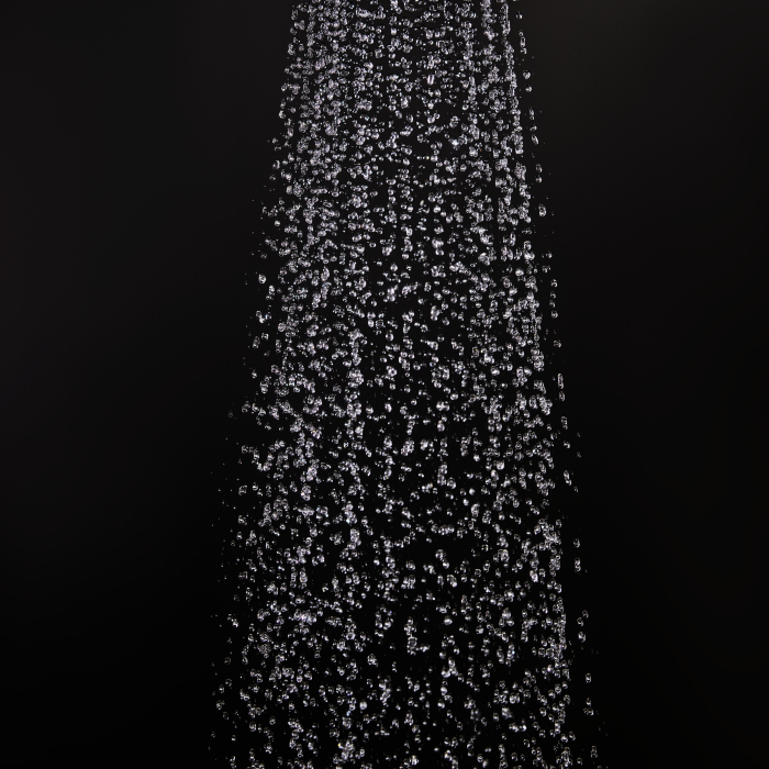 10121331126 #6